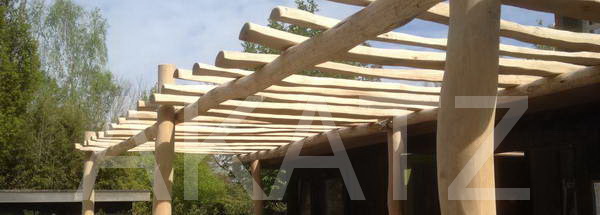 pergola robinier